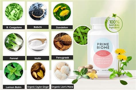 Deep Dive: The Power Ingredients and Science