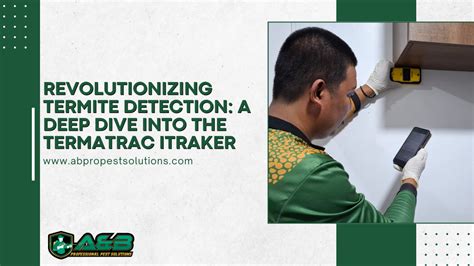 Deep Dive into Termite Treatment Price Ranges