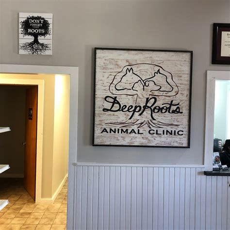 Discover the Best Care for Your Animal at Deep Roots Animal Clinic - Expert Veterinarians You Can Trust