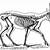 Deer Anatomy Bones