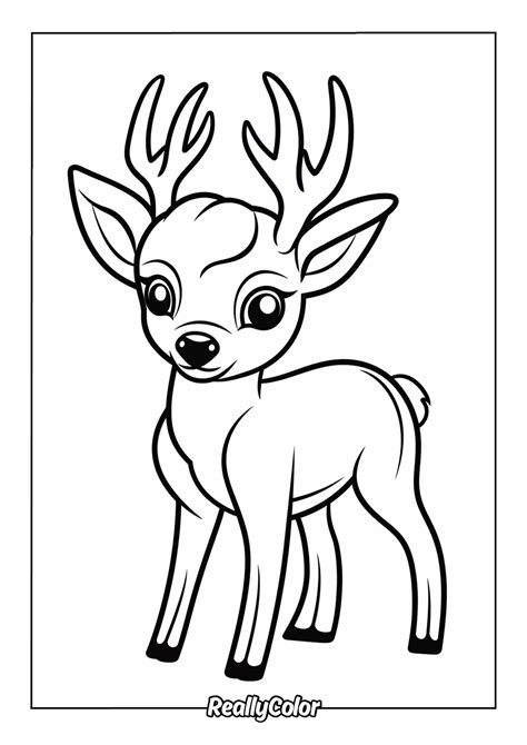 Deer Coloring