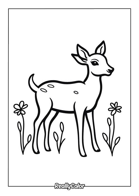 Deer Coloring Pages Easy