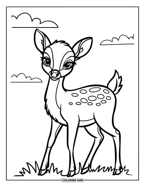 Deer Coloring Pages For Kids
