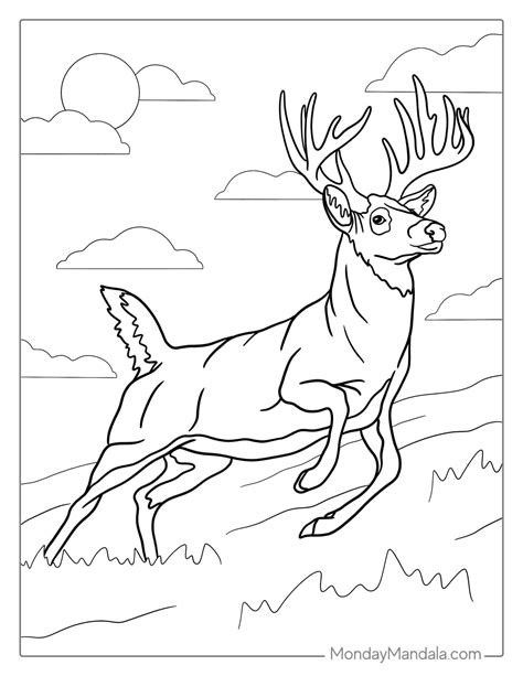 Deer Coloring Pages Free