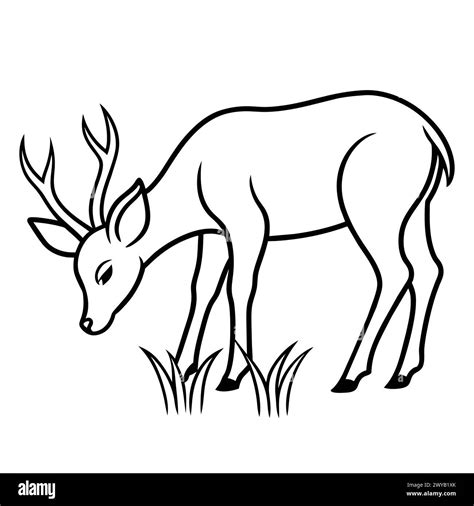 Download Deer Easy Edite