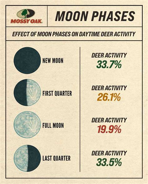 Deer Feeding Moon Chart