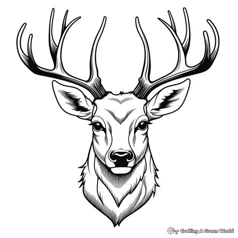 Deer Head Coloring Pages