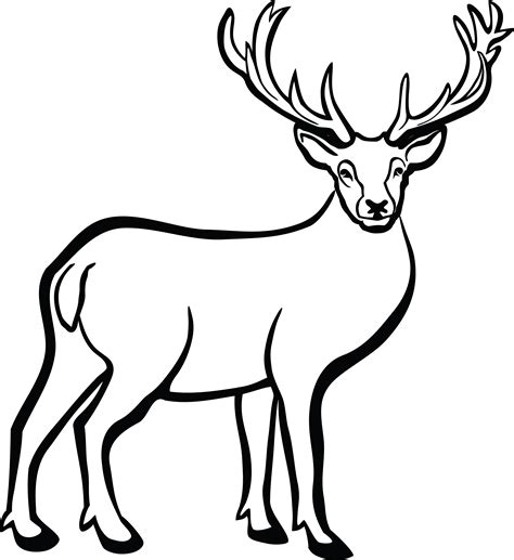 Deer Printable
