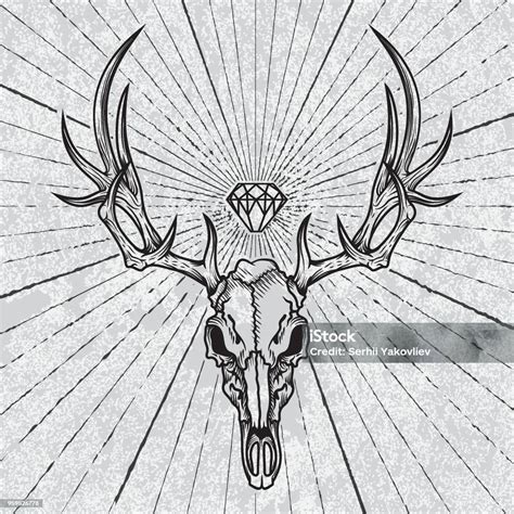 Deer Skull Engraving