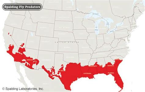 Survey of Deer Fly Distribution