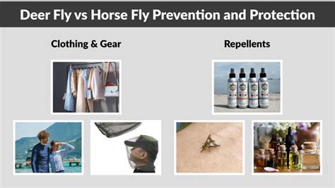 Preventive Measures Discussion