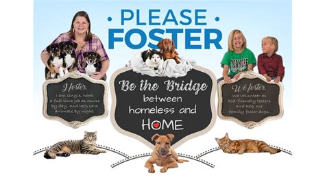 Defining Forever Foster Programs