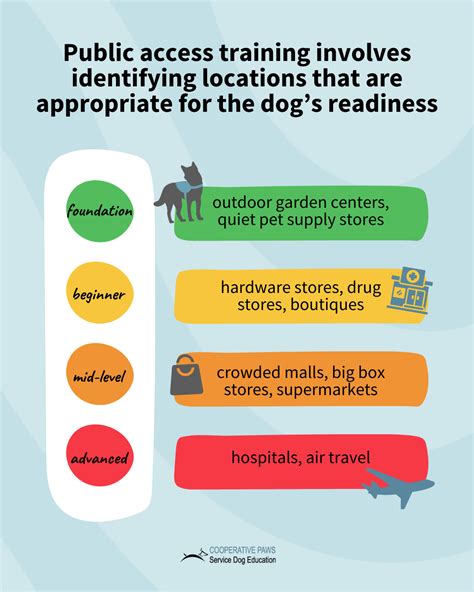 Defining Public Access Training
