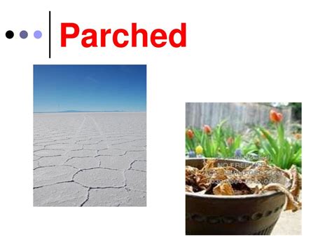 Definition For Parched