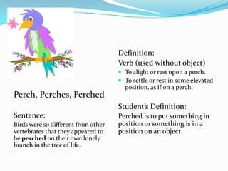 Definition For Perched