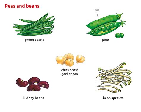 Unveiling The Culinary Marvel: Deciphering The Enigma Of The Mighty Bean - A Comprehensive Definition Of Beans!