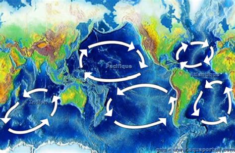 Discovering the Definition and Impact of a Gyre