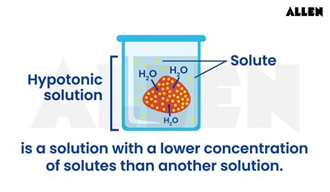 Hypotonic Solutions Unveiled: The Ultimate Guide to Understanding Low Concentration Solutions