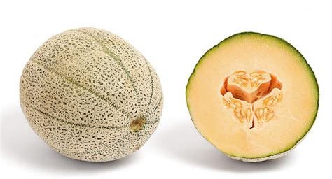 Discover the Exquisite Definition of a Melon: Unraveling the Juicy Secrets of this Tropical Fruit