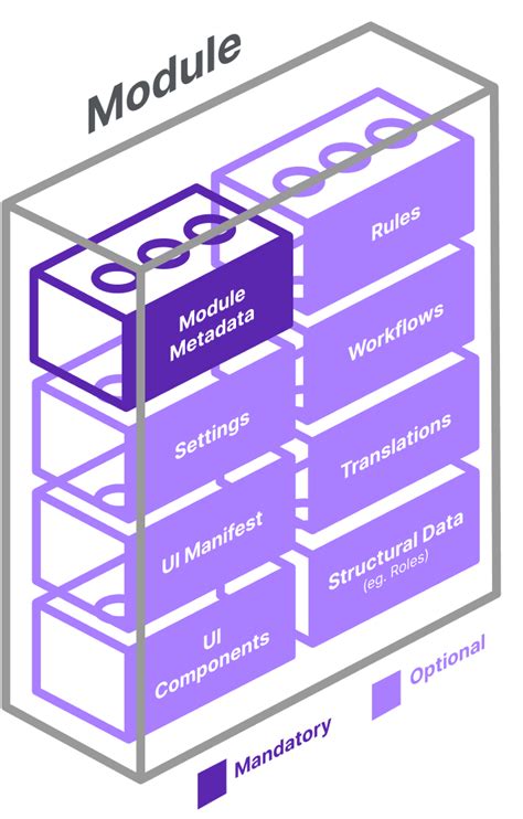 Uncovering the What, Why, and How of Modules in Programming