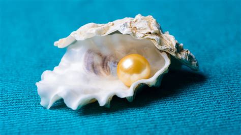 The Exquisite Jewel of Nature: Unraveling the Enchanting Definition of a Pearl