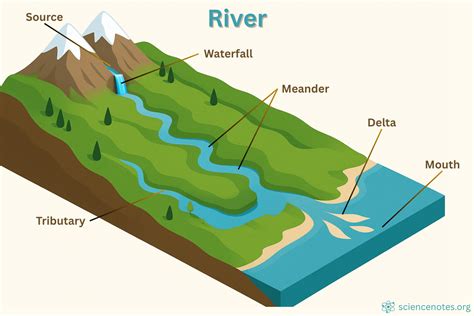 Discover the Anatomy of a River System: Definition and Features