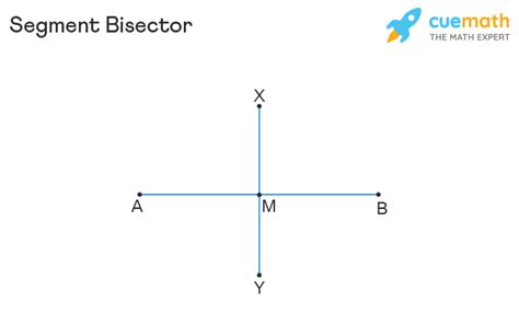 Discovering the Magic of Segment Bisectors: Definition and Importance