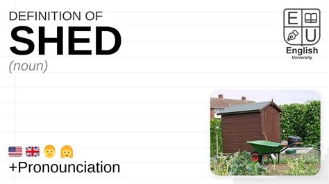 The Ultimate Guide to Shedology: Understanding the Definition and Benefits of Your Backyard Haven