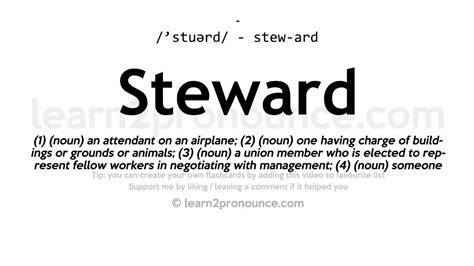 Understanding the role of a steward in management