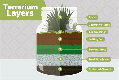 Discover the Meaning of Terrariums: A Complete Breakdown