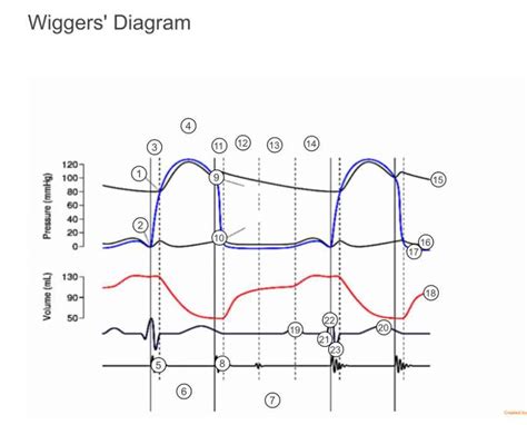Decoding the Urban Dictionary Term: Unpacking the Complexities of a Wigger