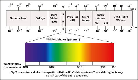 Understanding Broad Spectrum: A Comprehensive Definition