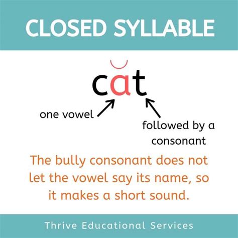Unlocking the Mysteries of the Closed Syllable: Understanding its Definition and Usage in Language