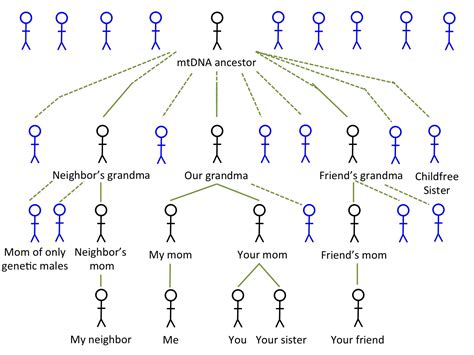 Unveiling the Genealogical Roots: A Comprehensive Definition of Common Ancestor