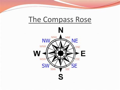 Discovering the Mystique of the Compass Rose: What You Need to Know