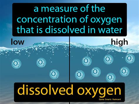 Unveiling the Mystery of Dissolved Oxygen: From Essential Science to Ecological Indicators