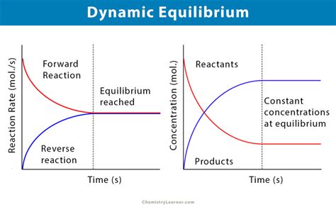 Decoding the Zen of Dynamic Equilibrium: Mastering Balance in Motion