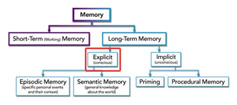 Unlocking The Mysteries of Memory: Understanding The Definition and Science Behind Explicit Memory