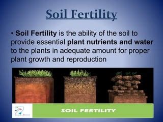 Unearthing the Meaning of Fertile Soil: Understanding the Richness Beneath Our Feet