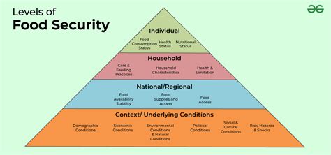 When Hunger Doesn't Have a Cure: Understanding The Harsh Reality of Food Insecurity