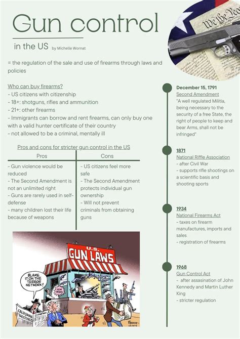 Untangling the Meaning of Gun Control Laws in Society