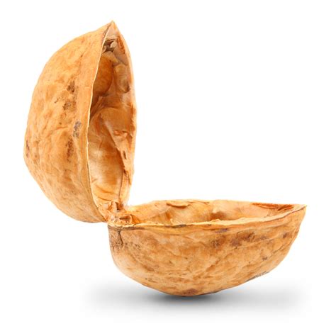 In a Nutshell: Unwrapping the Meaning of this Concise Phrase