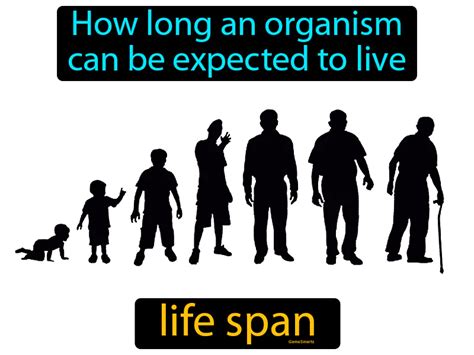 An Insightful Guide to the Definition of Life Span: Understanding the Duration and Meaning of Human Existence