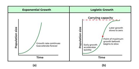 What is logistic growth in biology? Explained simply.