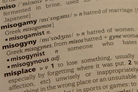 The Chauvinist Chronicles: Unpacking the Definition of Misogynistic Dictionary
