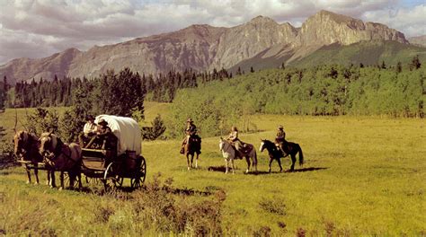 Unleashing the Mystery of Open Range: A Concise Definition of This Dynamic Concept