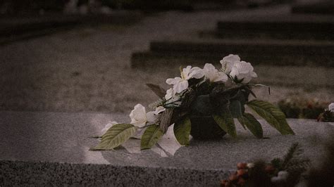 Farewell to the Mortal Coil: Exquisitely Understanding the Definition of 'Passed Away'