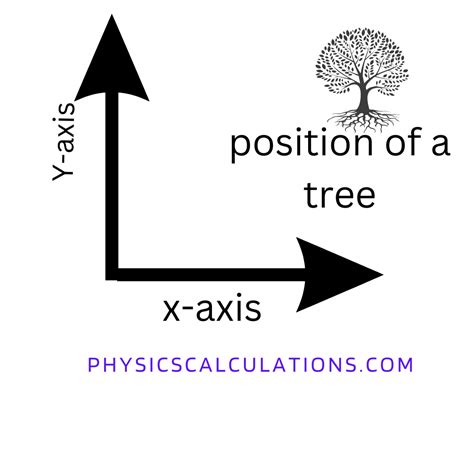 Mastering the Basics: Unveiling the Essence of Position in Physics
