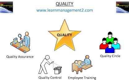 The Quintessence of Quality: Unpacking the Definition and Significance of an Elite Attribute