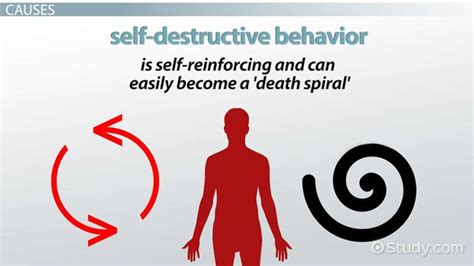All About Self-Destruct: Understanding the Definition and Meanings